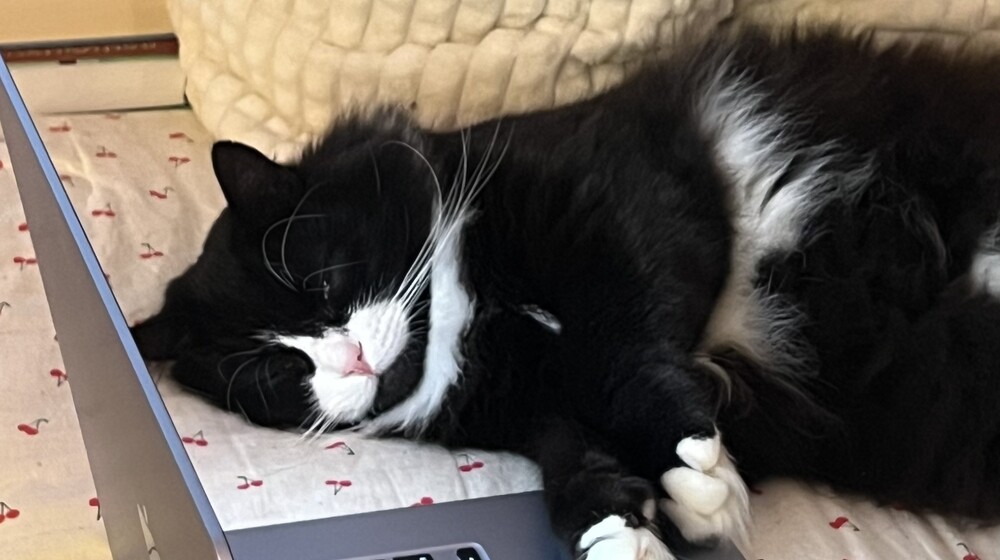 Корморан Страйк