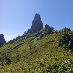 Натуськина полка