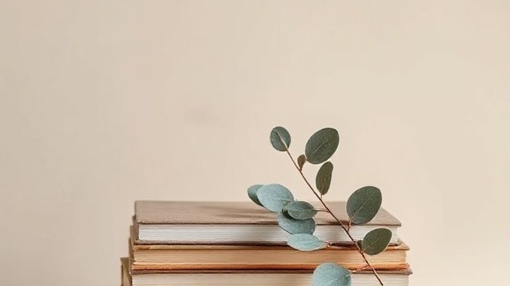 Художественная литература