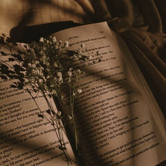 Истории, которые лечат сердце❤️‍🩹