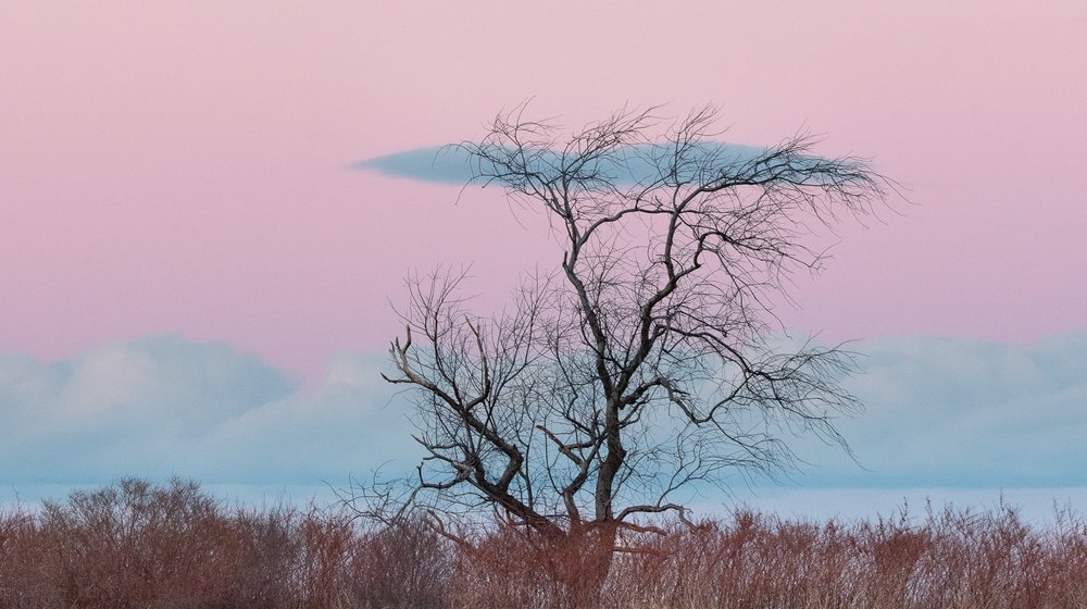 Азбука-классика