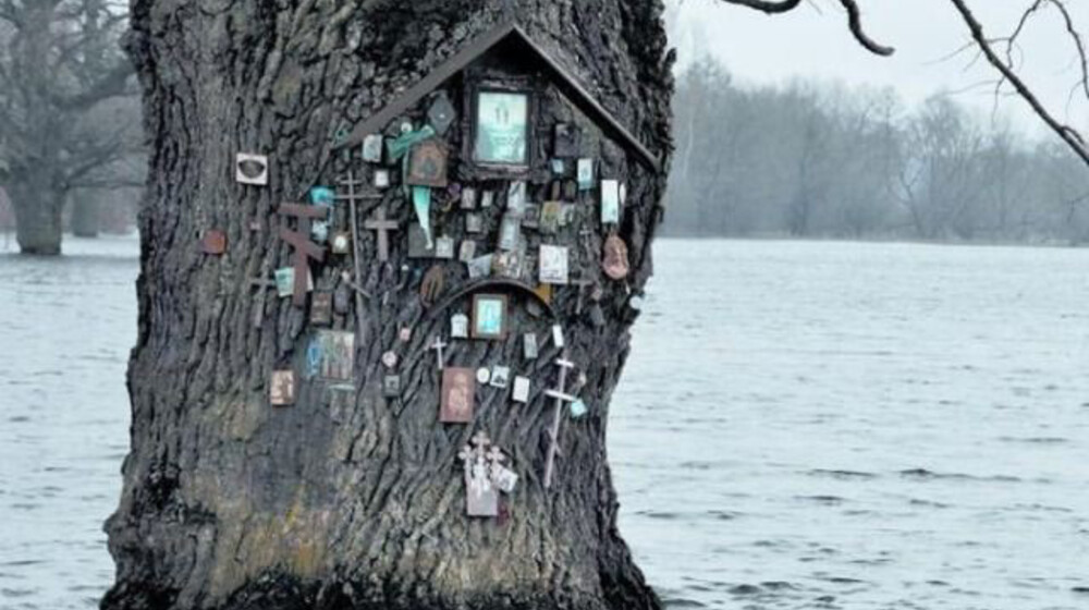 Южная готика 💜