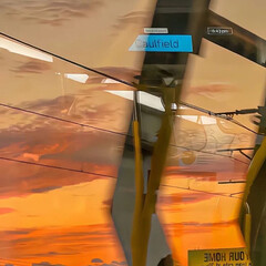 Нутрициология