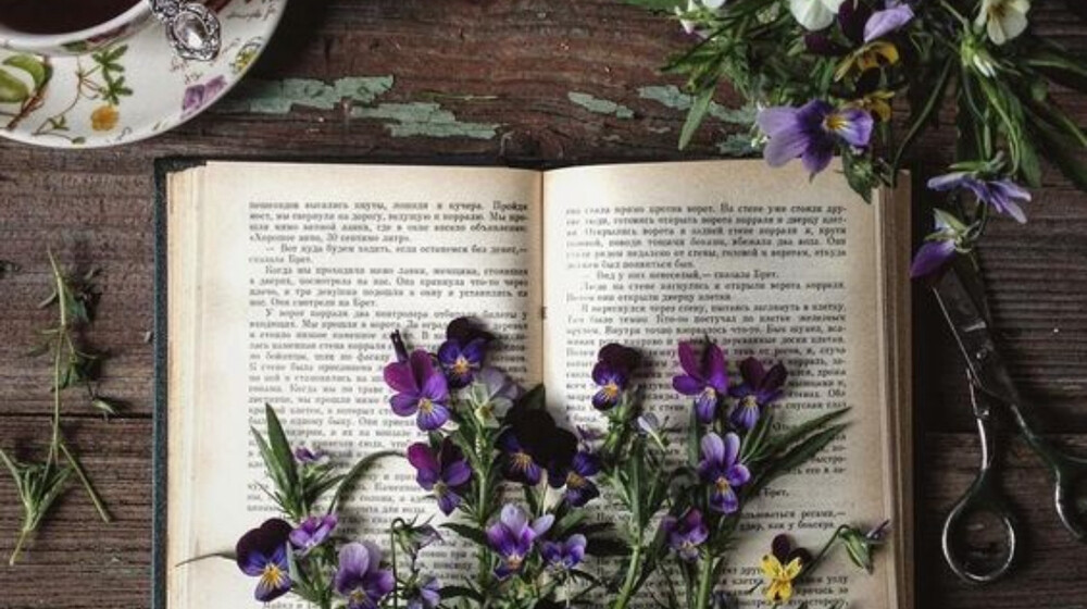 Писательство