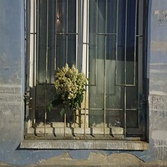 Полка Маслинки 🍸