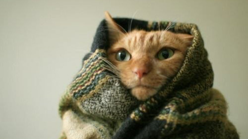 2017 READING CHALLENGE