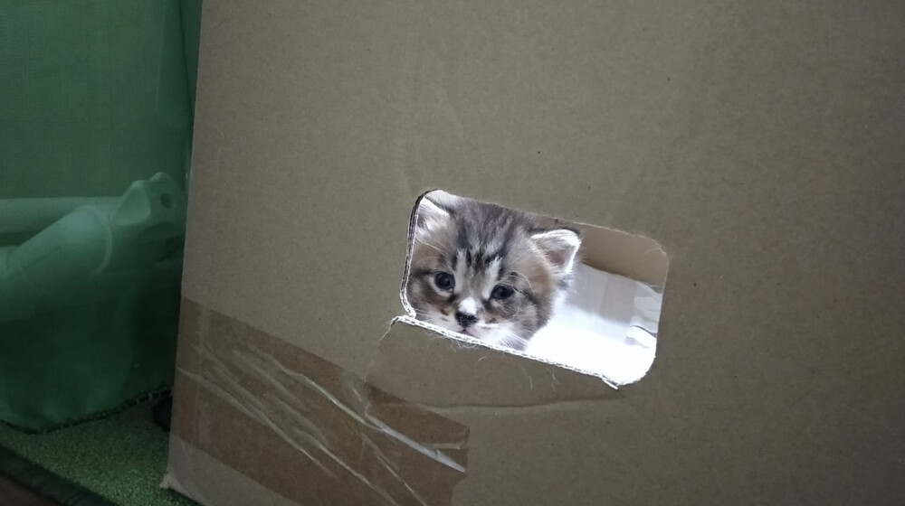 Интроверты тоже люди