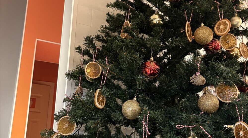 Прочитанное 2026