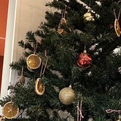 Прочитанное 2026