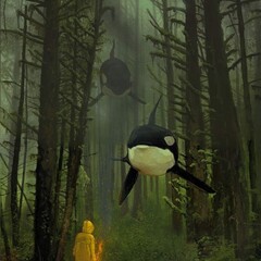 Научпоп (комиксы)