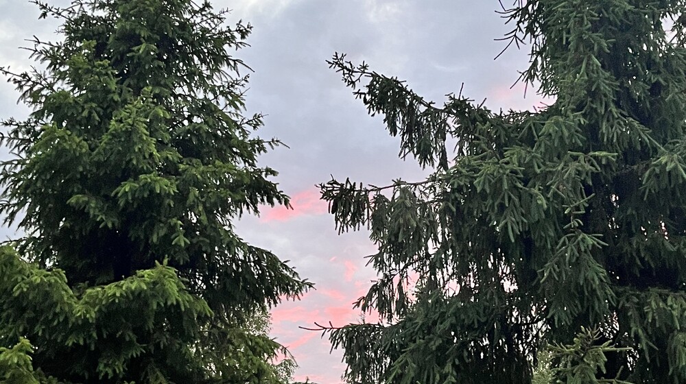 Книги которые можно прочитать( советую прочитать (для девочки))     :):)❤💕🤩😻