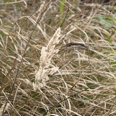 Рекомендую к чтению (художественное)