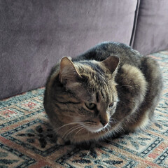 Любимые аудиокниги!