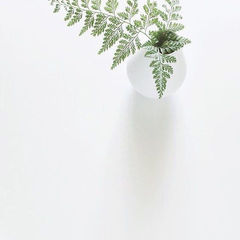 Саморазвитие