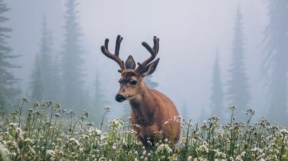 Читаем Россию