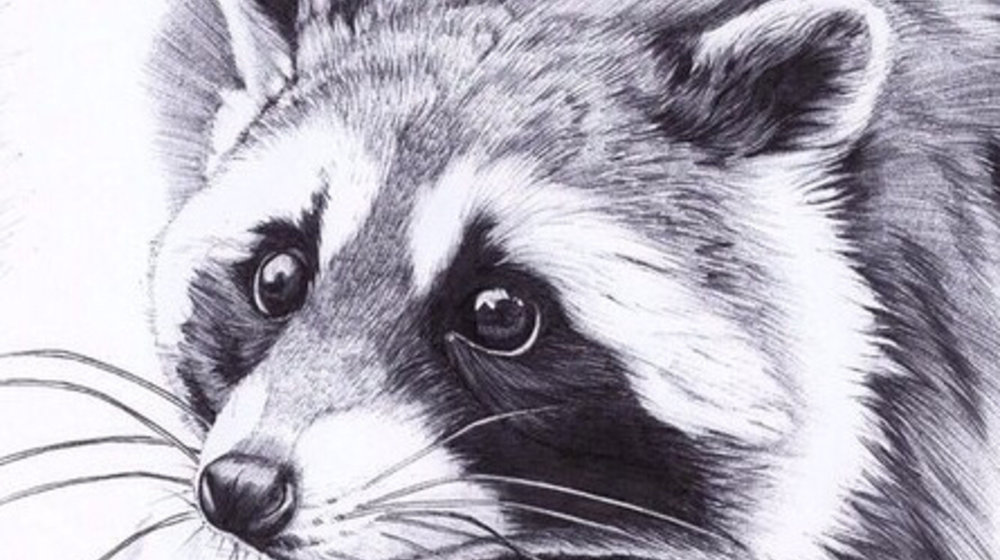 Этология и зоопсихология