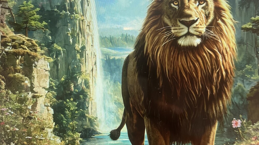 Вселенная
НАРНИИ
🤩