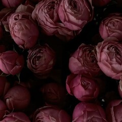 Классика 141