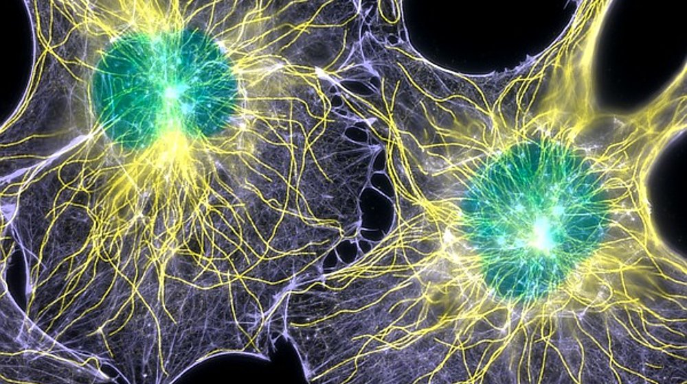 Научно-популярные