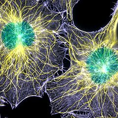 Научно-популярные