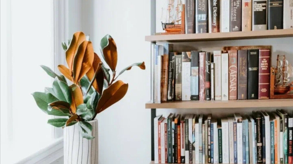 Хочу прочитать