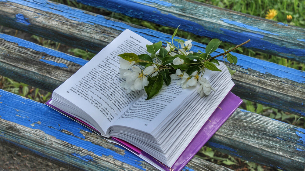 Прочитано 2024