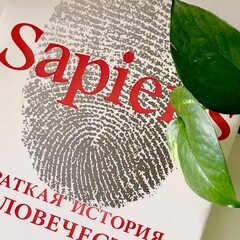 Юваль Ной Харари