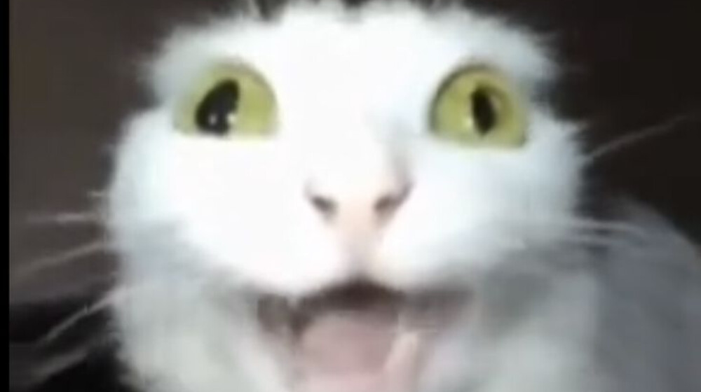 Кликбейты и самобичевание