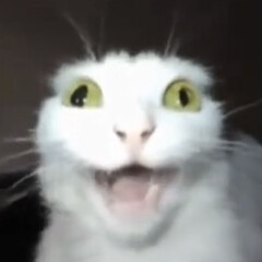 Кликбейты и самобичевание