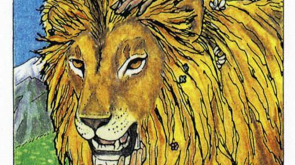 Моя Библиотека