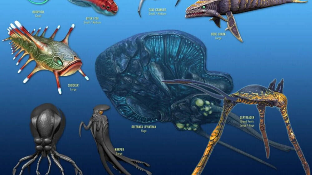 Вне земная фауна