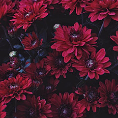 Психология 