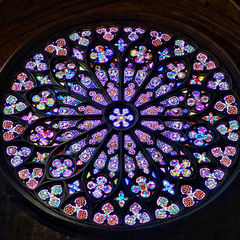 Религия/Философия