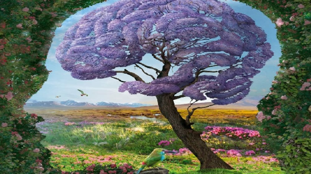 Все о мозге