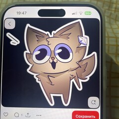 Полки про меня и мою жизнь