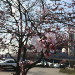 [2018: My Reading Challenge - DONE]