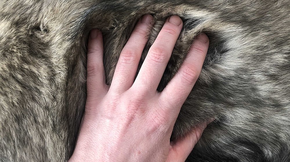 (Не)человеческое