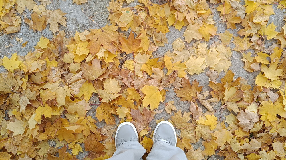 🍂🍂🍂  Осень, 25 🍂🍂🍂