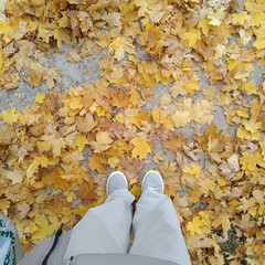 🍂🍂🍂  Осень, 25 🍂🍂🍂