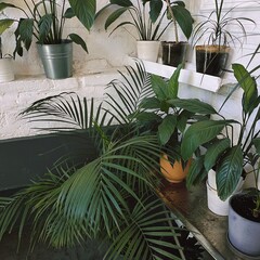 Прочитанные