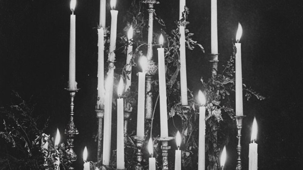 Читает начинающий и психолог by pulvis