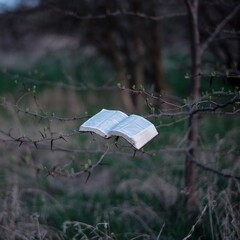 E:\books\2026