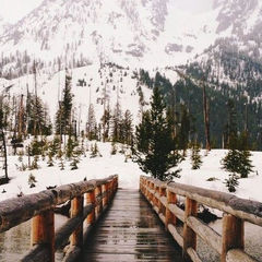 Жизнеутверждающие