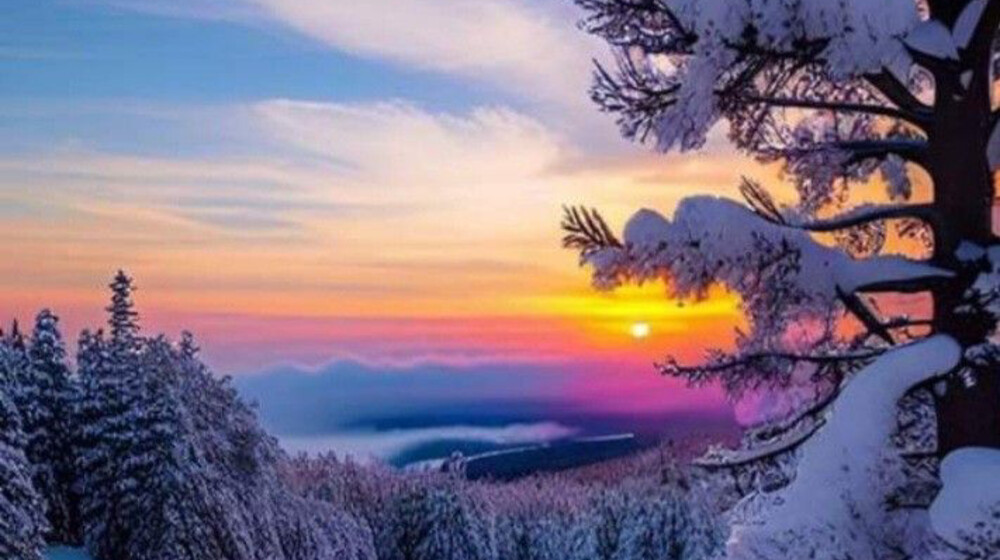 ⊱✺⊰ Зимняя полка ⊱✺⊰