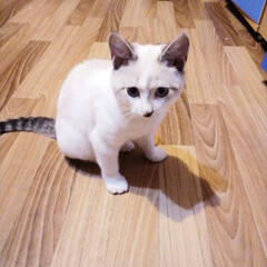 Книги которые понравились