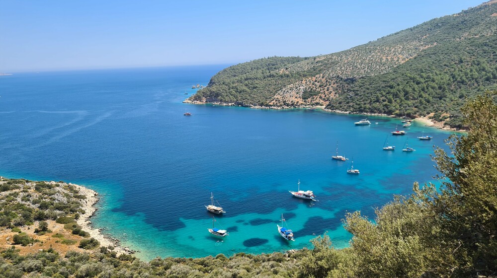 вокруг света 🌏