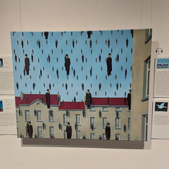 Художественная литература