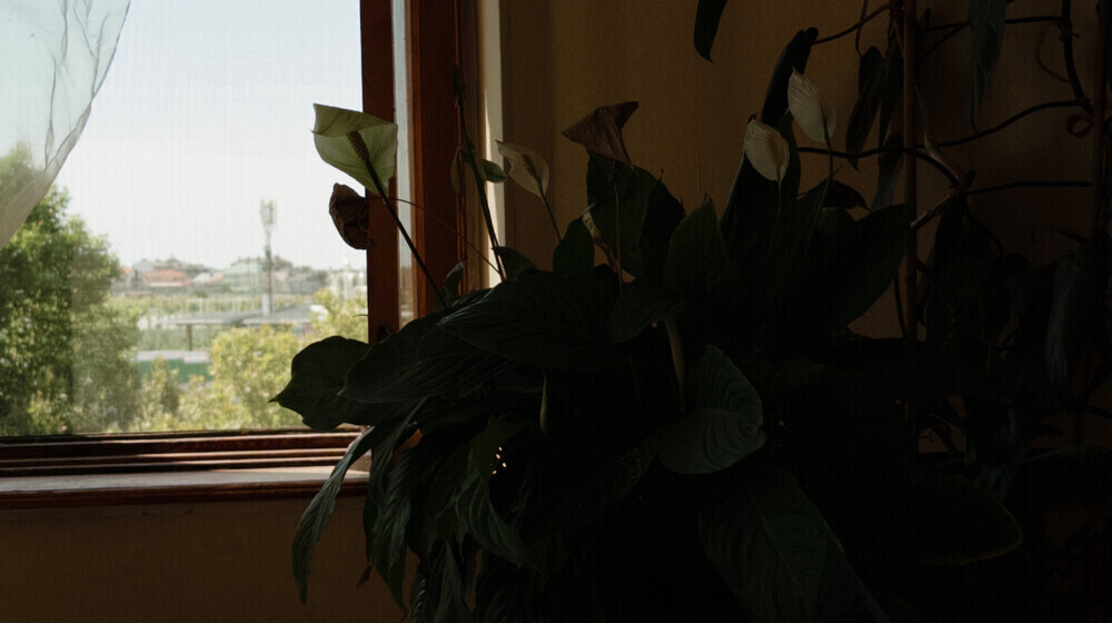 Наука для широкой аудитории.