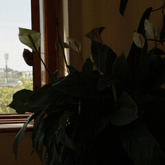 Наука для широкой аудитории.