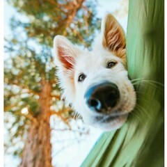 Переписки!!!